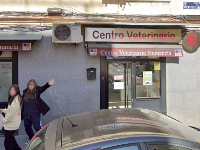Centro Veterinario Numancia (Madrid)