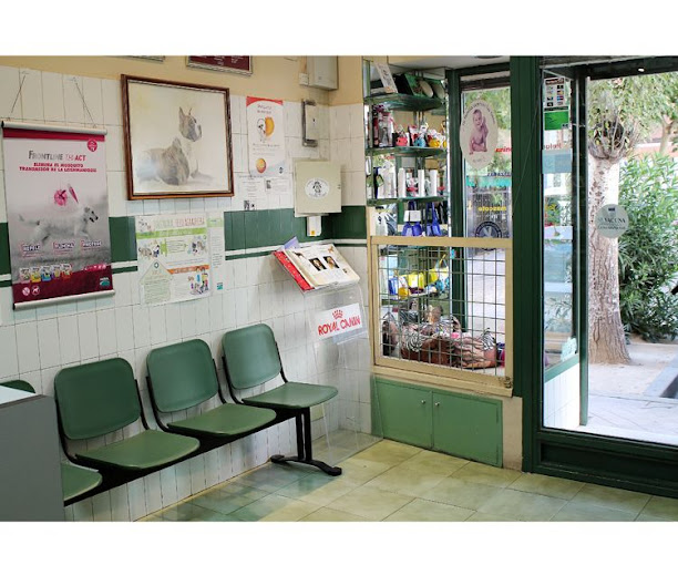Centro Veterinario Parque Aluche (Madrid)