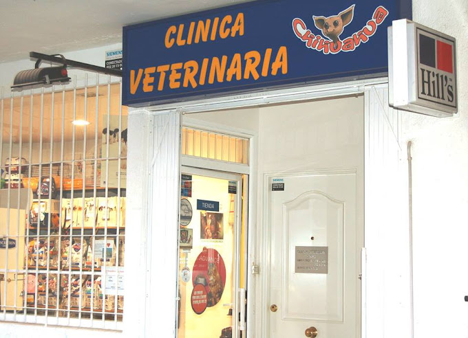Clínica Veterinaria Chihuahua Tetuán (Madrid)
