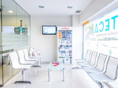 Iteca Centro Veterinario (Alcobendas)