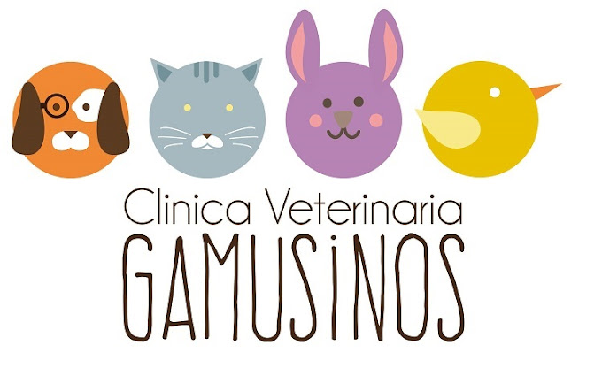 Clínica Veterinaria Gamusinos (Madrid)