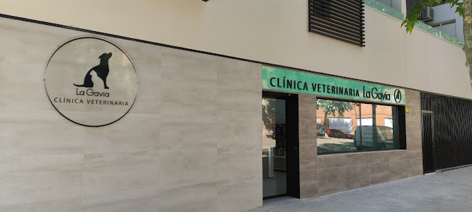 Clínica Veterinaria La Gavi@ (Madrid)