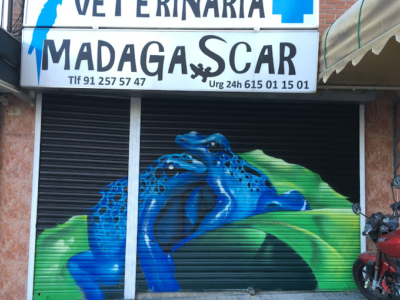 Clínica Veterinaria Madagascar (Madrid)