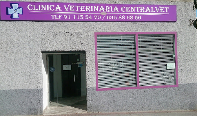 Centralvet (Alcorcón)