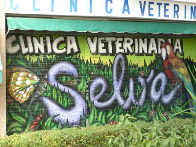Clínica Veterinaria Selva (Madrid)