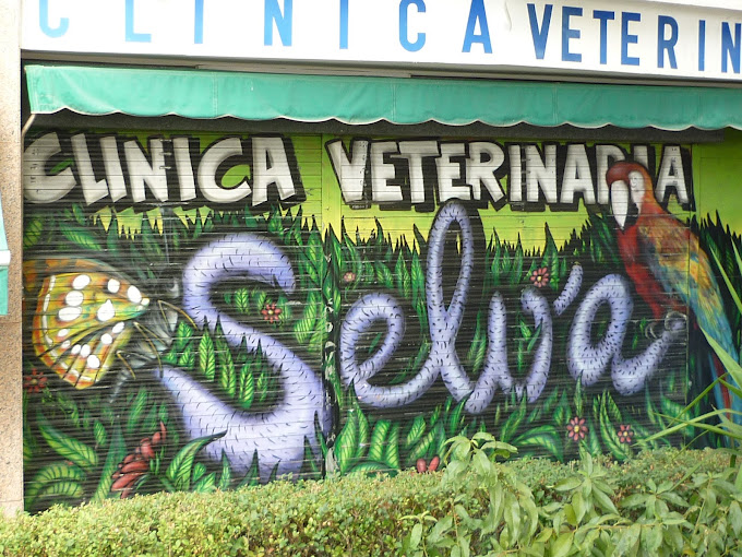 Clínica Veterinaria Selva (Madrid)