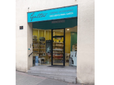 Gattos Centro Clínico Felino (Madrid)