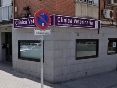 Medivet Ginzo de Limia (Madrid)