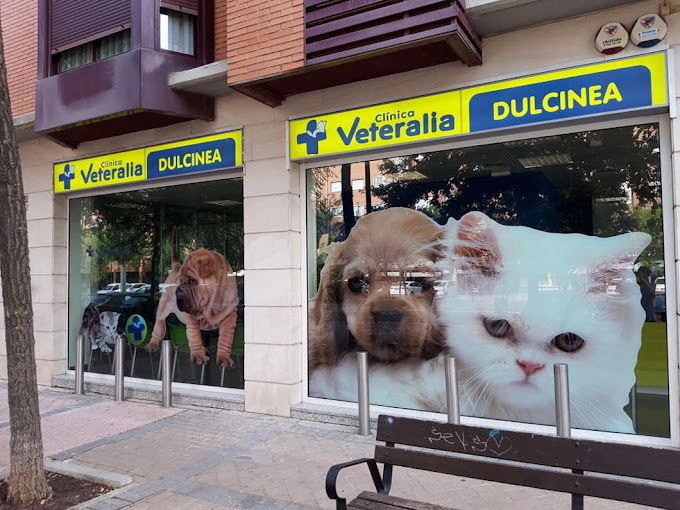 Clínica Veterinaria Dulcinea Alcorcón - Veteralia (Alcorcón)