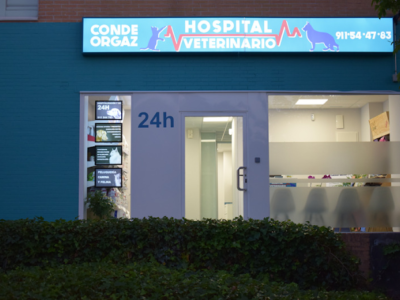Hospital Veterinario Conde Orgaz (Madrid)
