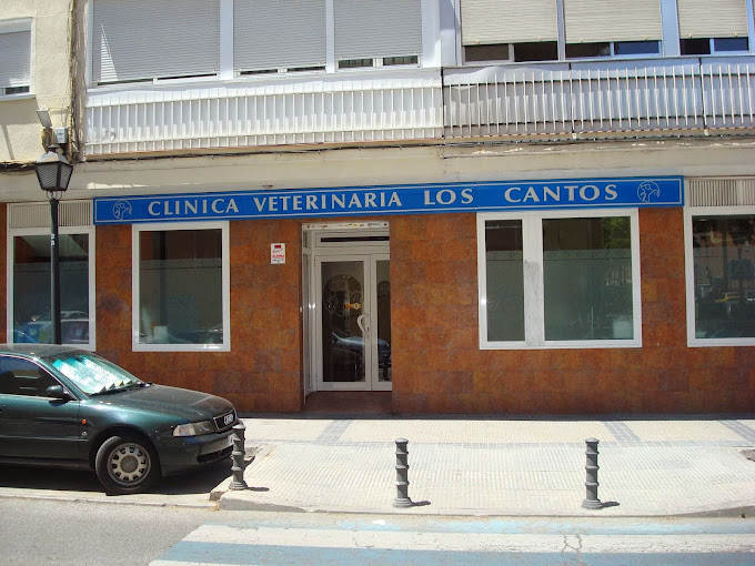 Clínica Veterinaria los Cantos (Alcorcón)