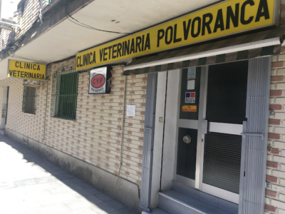 Clínica Veterinaria Polvoranca (Alcorcón)
