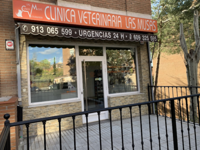 Las Musas Clínica Veterinaria (Madrid)