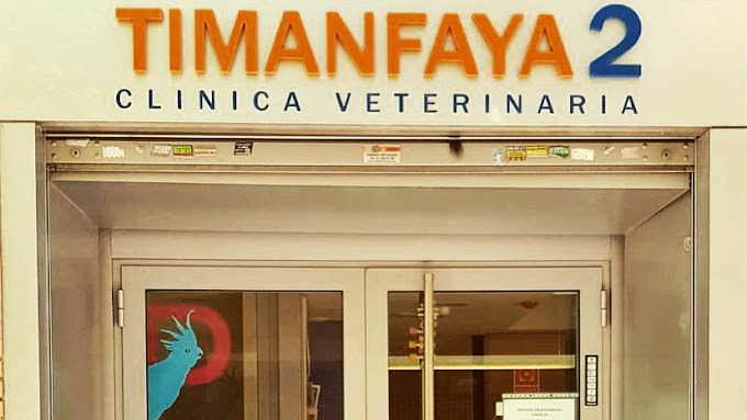 Clínica Veterinaria Timanfaya II (Alcorcón)