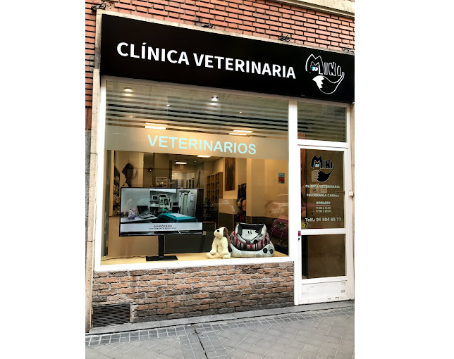Clínica Veterinaria Mini (Madrid)