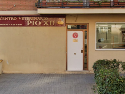 Pio XII Centro Veterinario (Madrid)
