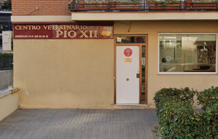 Pio XII Centro Veterinario (Madrid)