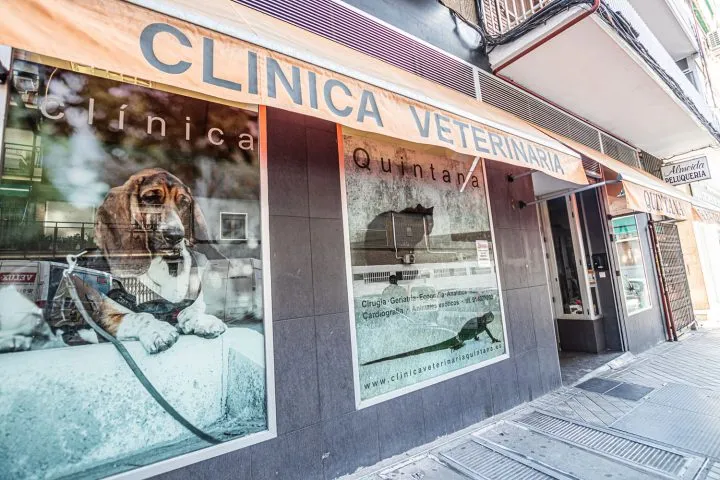 HGVET Clínica Veterinaria Quintana (Madrid)