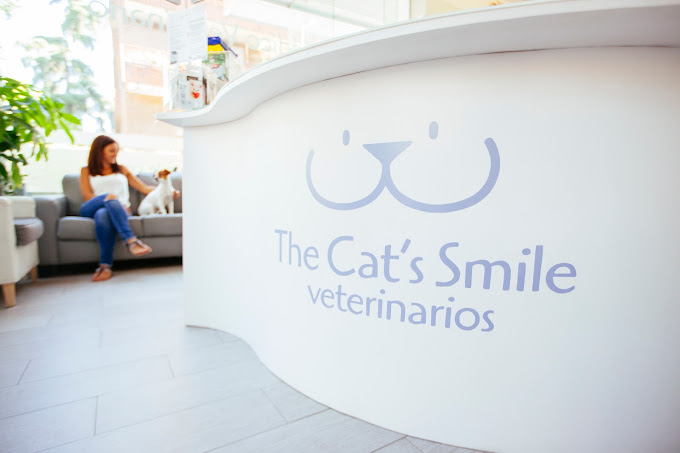 The Cat’s Smile Clínica Veterinaria Ciudad Lineal (Madrid)
