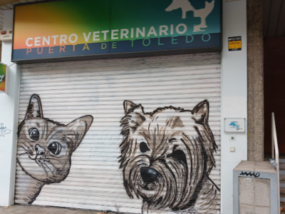 Medivet Puerta de Toledo (Madrid)