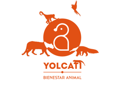 Yolcati - Bienestar Animal (Madrid)