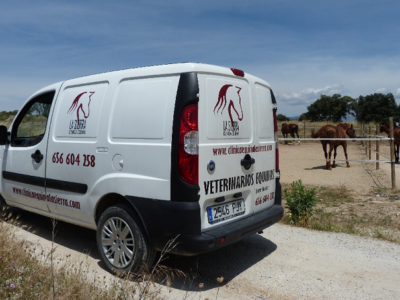 Clínica Equina La Sierra (Manzanares El Real)