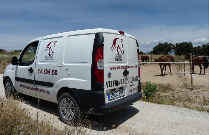 Clínica Equina La Sierra (Manzanares El Real)