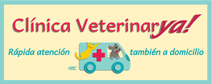 Clínica Veterinarya! (Moralzarzal)