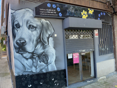 Clínica Mascotas (Móstoles)