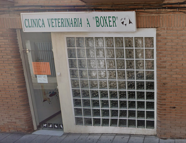 Clínica Veterinaria Boxer (Pinto)