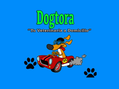 Dogtora Tu Veterinaria A Domicilio (Pinto)