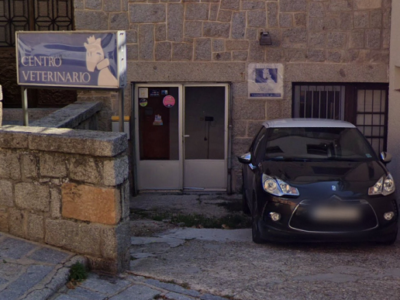 Centro Veterinario del Real Sitio (San Lorenzo de El Escorial)
