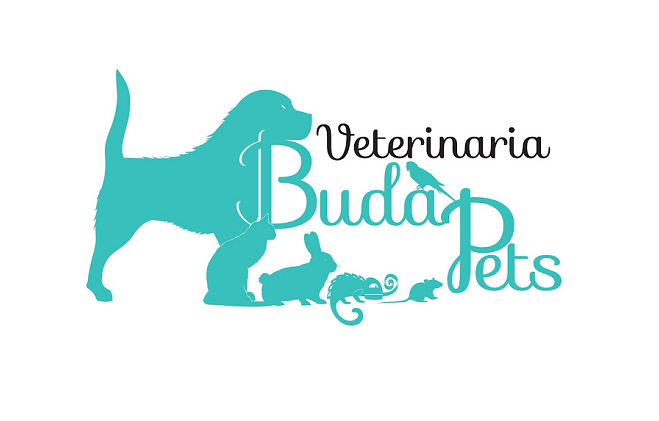 BudaPets Veterinaria (Torrejón de Ardoz)