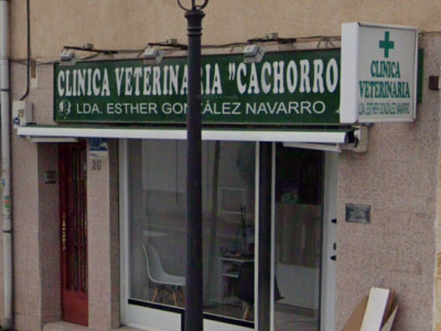 Clínica Veterinaria Cachorros (Torrejón de Ardoz)