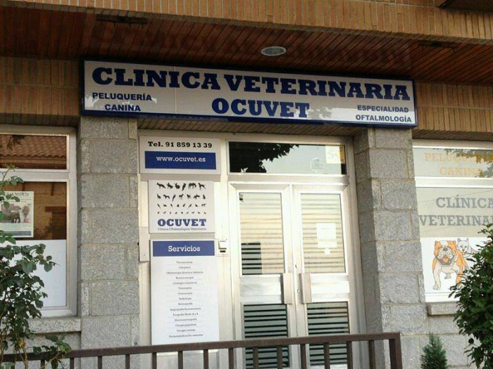 Ocuvet (Torrelodones)