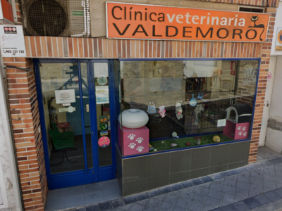 Clínica Veterinaria Valdemoro (Valdemoro)