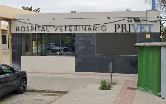 Privet Villaviciosa (Villaviciosa de Odón)