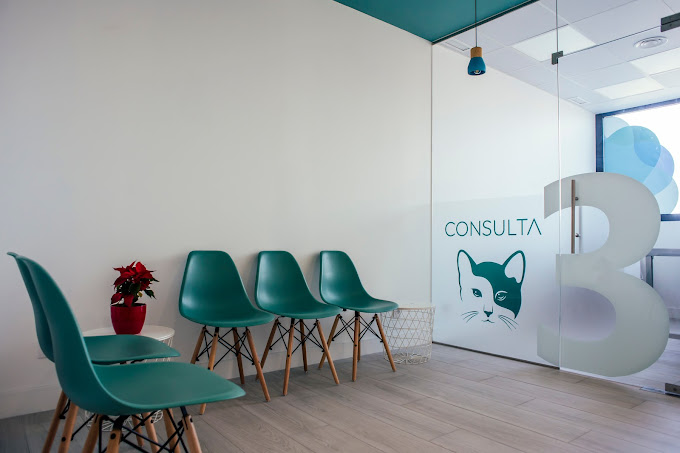 Centro Médico Veterinario Siglo XXI (Boadilla del Monte)