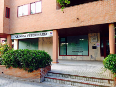 American Animal Hospital - AAH Veterinary Services (Pozuelo de Alarcón)