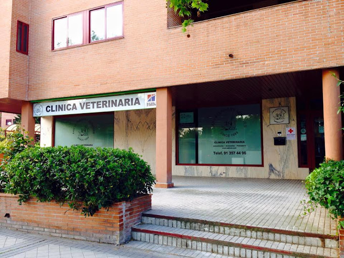 American Animal Hospital - AAH Veterinary Services (Pozuelo de Alarcón)