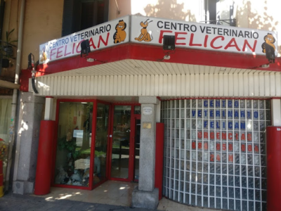 Centro Veterinario Felican Villalba (Collado Villalba)