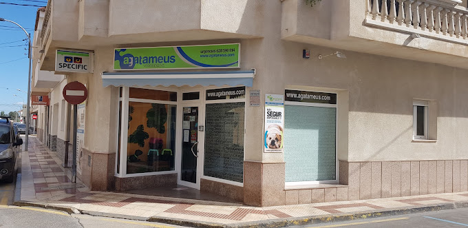 A Gatameus Veterinària (Deltebre)