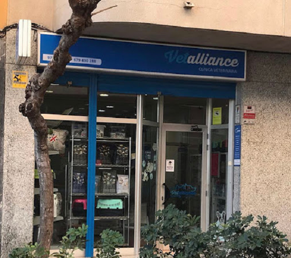 Vetalliance Cambrils - Antiga Lagun (Cambrils)