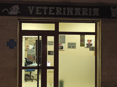 Clínica veterinaria Dulantzi (Alegría-Dulantzi)