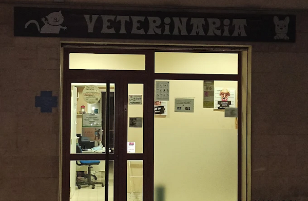 Clínica veterinaria Dulantzi (Alegría-Dulantzi)