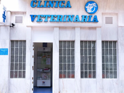 Clínica veterinaria Arandilla (Vitoria-Gasteiz)