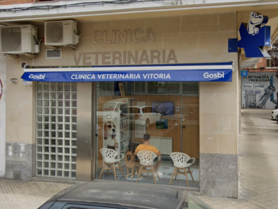 Clínica veterinaria Vitoria (Vitoria-Gasteiz)