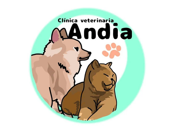 Clínica veterinaria Andia (Vitoria-Gasteiz)