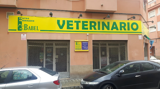 Medivet Babel (Alicante)