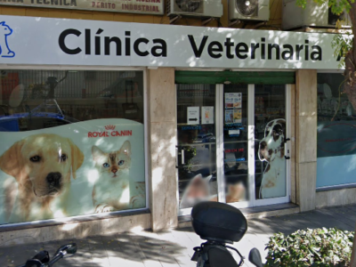 Clínica Veterinaria Alacant (Alicante)